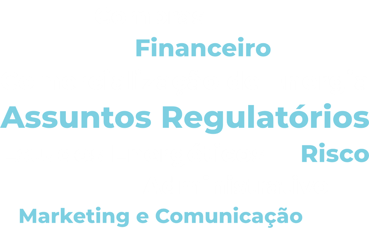 perfil-do-participante-workshoppsrcanalenergia