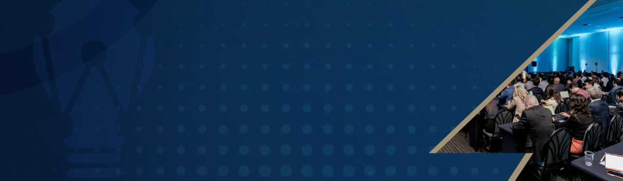 WORKSHOP PSR / CANALENERGIA 2025